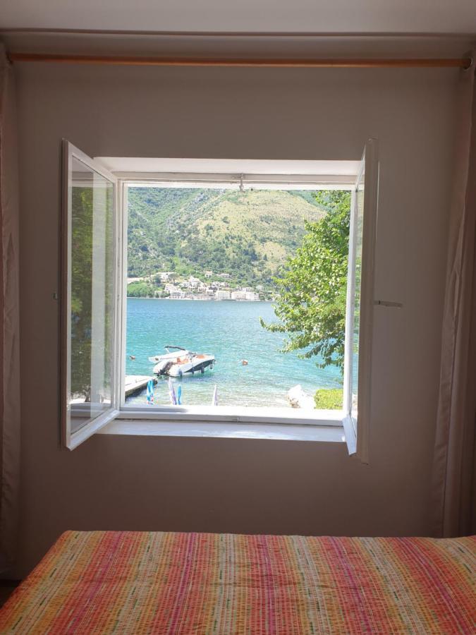 Savic Apartments Kotor Exterior photo