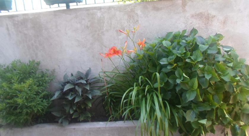 Savic Apartments Kotor Room photo